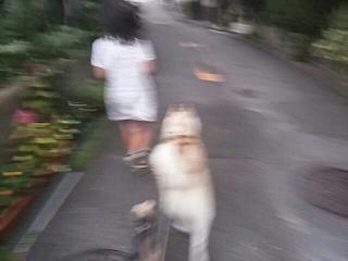 1409013420278.jpg