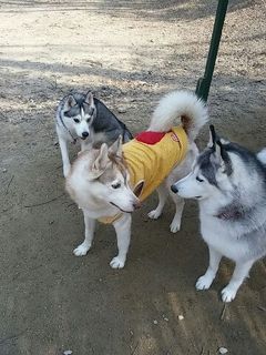 1456642179039.jpg