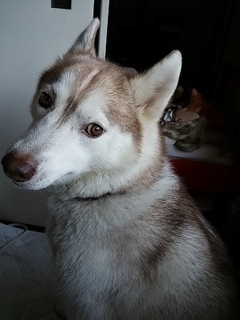 20150513_072904.jpg