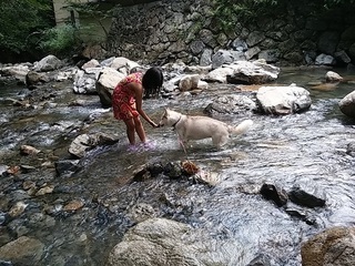 20150729_154912.jpg