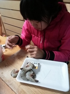 20151231_105908.jpg