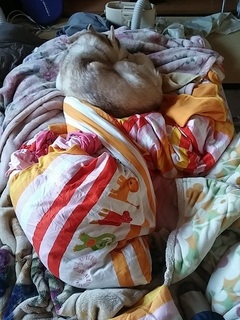 20151231_143637.jpg