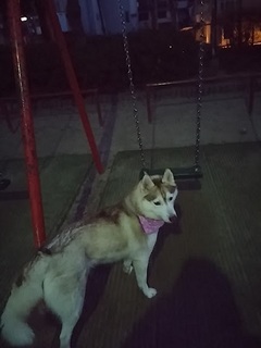 20160108_173216.jpg