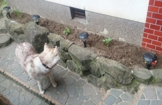 2017.4.13.29-thumbnail2.jpg