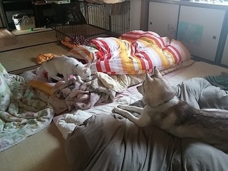 20170329_103319.jpg
