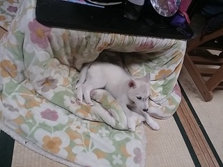 20170329_214727.jpg