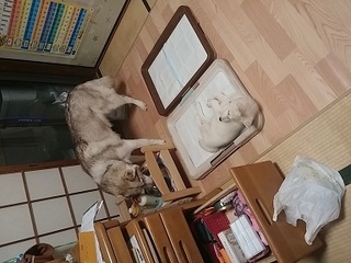 20170329_215023.jpg