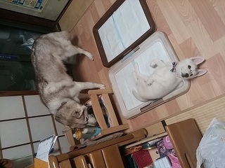 20170329_215035.jpg