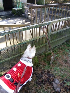やぎと.jpg