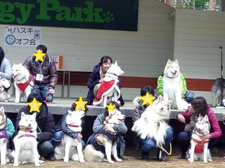 茶ハス2.jpg