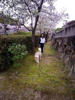 IMG_20160403_135922.jpg