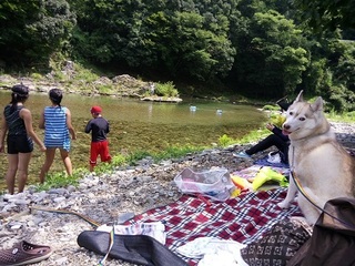 IMG_20160816_112525.jpg