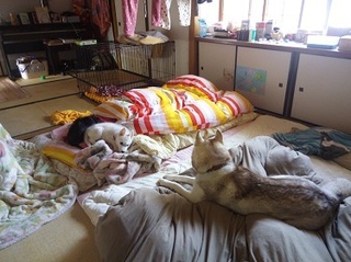IMG_20170329_103344.jpg