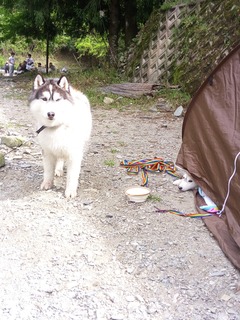 IMG_20170504_150118.jpg