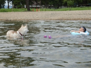 P8192195 (640x480).jpg