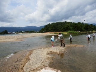P8192208 (640x480).jpg