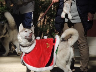 SANTATINK3.jpg