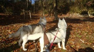 mini_DSC_0097.jpg