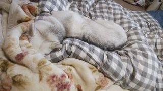 mini_DSC_0118.jpg