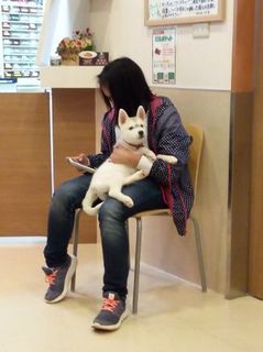 mini_IMG_20170414_190155.jpg