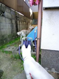 mini_IMG_20170429_155305.jpg