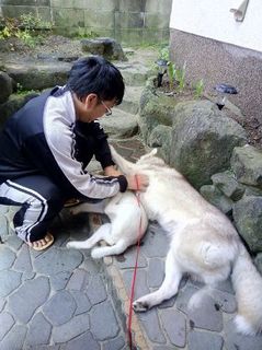 mini_IMG_20170429_172114.jpg