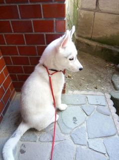 mini_IMG_20170429_172232.jpg