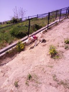 mini_IMG_20170430_104417.jpg