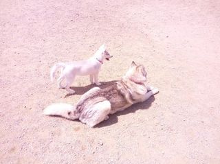 mini_IMG_20170430_105246.jpg