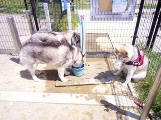 mini_IMG_20170430_105349.jpg