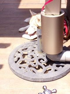 mini_IMG_20170430_125442.jpg