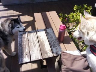 mini_IMG_20170430_130257.jpg