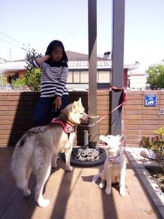 mini_IMG_20170430_133247.jpg