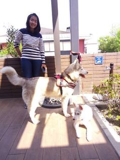 mini_IMG_20170430_133300.jpg
