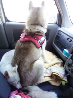 mini_IMG_20170430_140013.jpg