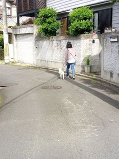 mini_IMG_20170503_084944.jpg