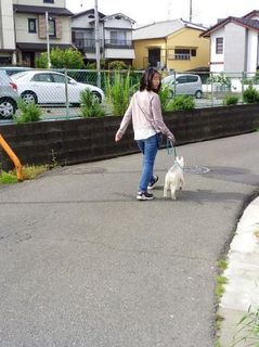 mini_IMG_20170503_085109.jpg