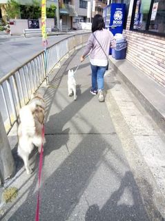 mini_IMG_20170503_085629.jpg