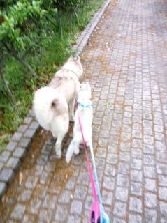 mini_IMG_20170503_090821.jpg