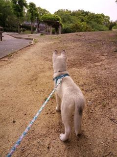 mini_IMG_20170503_091215.jpg