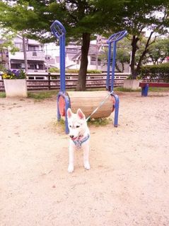 mini_IMG_20170503_091507.jpg