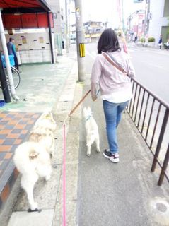 mini_IMG_20170503_092830.jpg