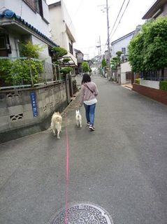 mini_IMG_20170503_093034.jpg
