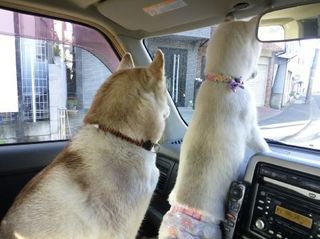 mini_IMG_20170504_064839.jpg
