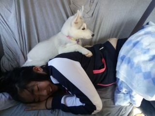 mini_IMG_20170504_074253.jpg