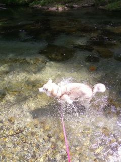 mini_IMG_20170504_101329.jpg