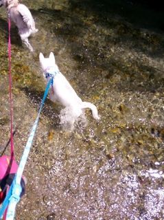 mini_IMG_20170504_101334.jpg