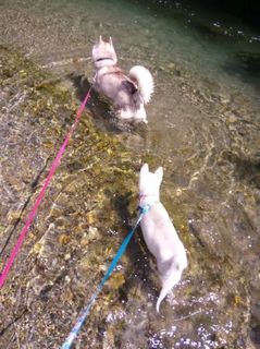 mini_IMG_20170504_101337.jpg