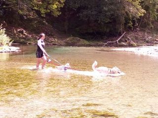 mini_IMG_20170504_103256.jpg
