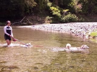 mini_IMG_20170504_103301.jpg
